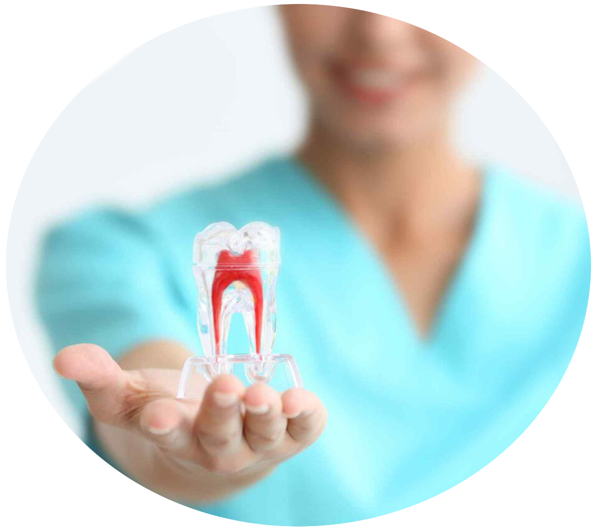 https://www.dentident.cz/wp-content/uploads/2022/11/new.png